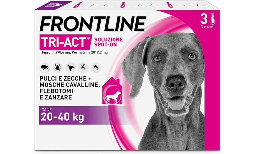 Image 17: Fino a 12 pipette Frontline Tri-Act® Spot-on per cani