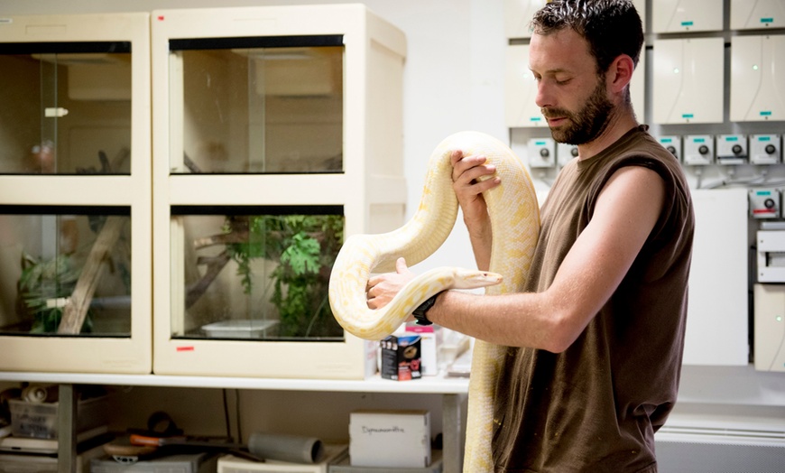 Image 32: Vivre les missions d’un soigneur au Touroparc Zoo