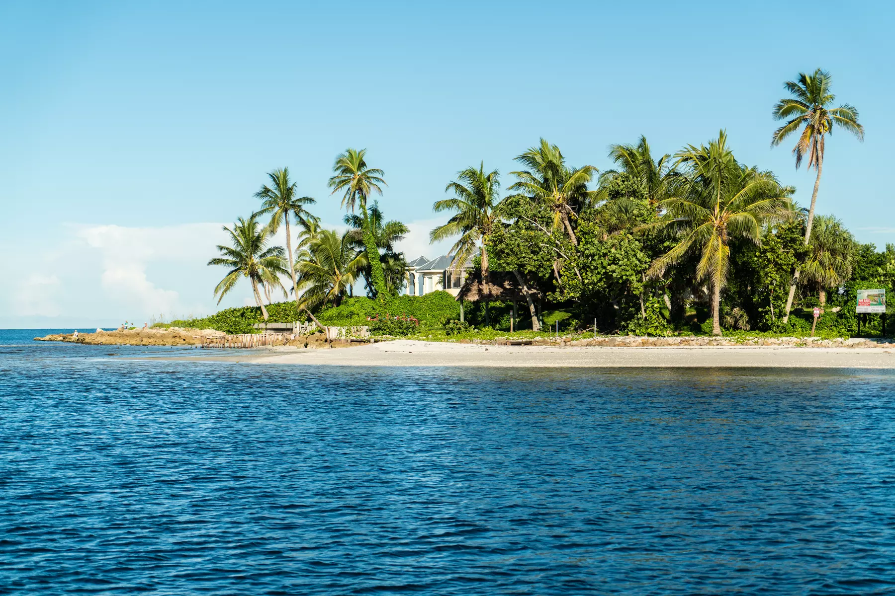 Up to 38% Off Sightseeing Day Cruise from Pure Florida