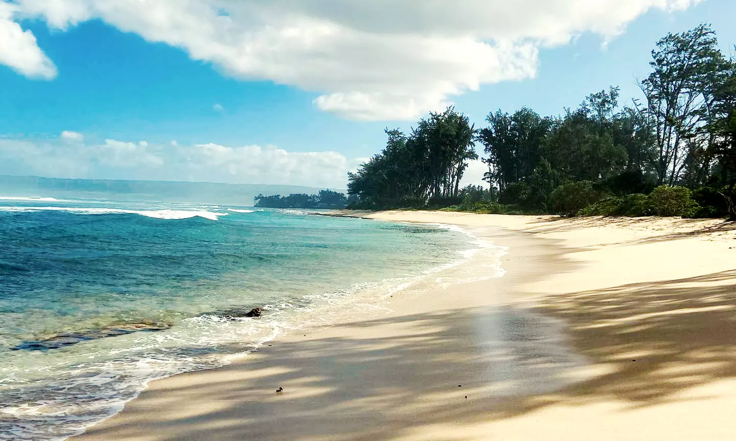 Group or Private Fishing Tour for Two or Four People