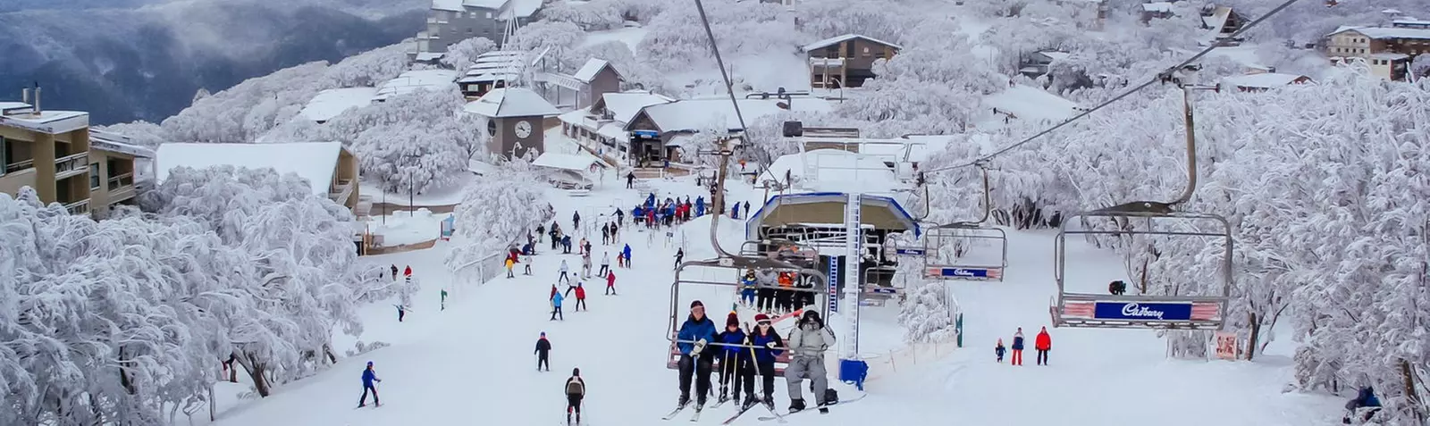 Trip to Mt Buller - Adult/Child; Various Pickups and Return Available