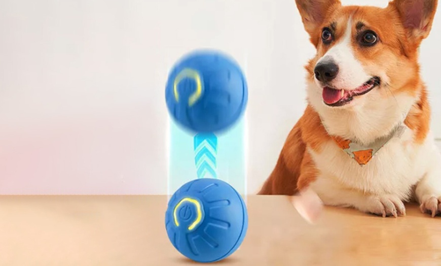Image 3: Vibrating Ball For Pet