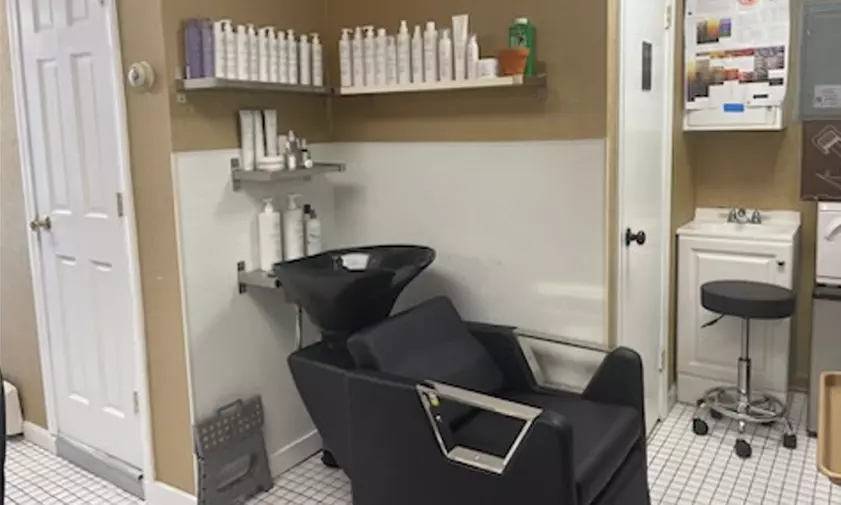 Scissor Haircut w/ Blowout, All Over Color, Partial Highlights, & More