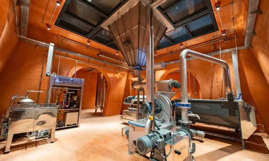 Entradas al Museo del AOVE con visita al olivar y cata de aceites