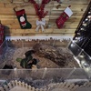 Image 4: Santa Claws Tree House Grotto Experience for 1 or 2 Children & Adults