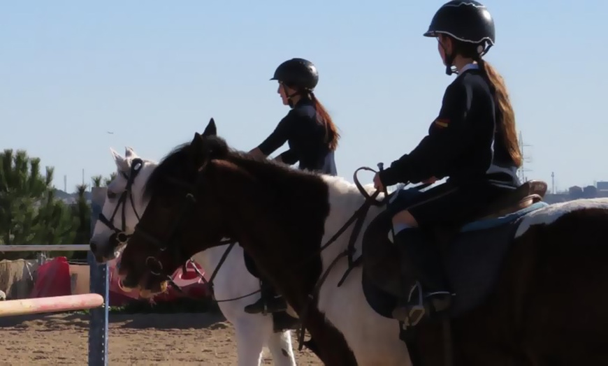 Image 5: 5 o 10 clases de equitación de 50 minutos para todos los niveles