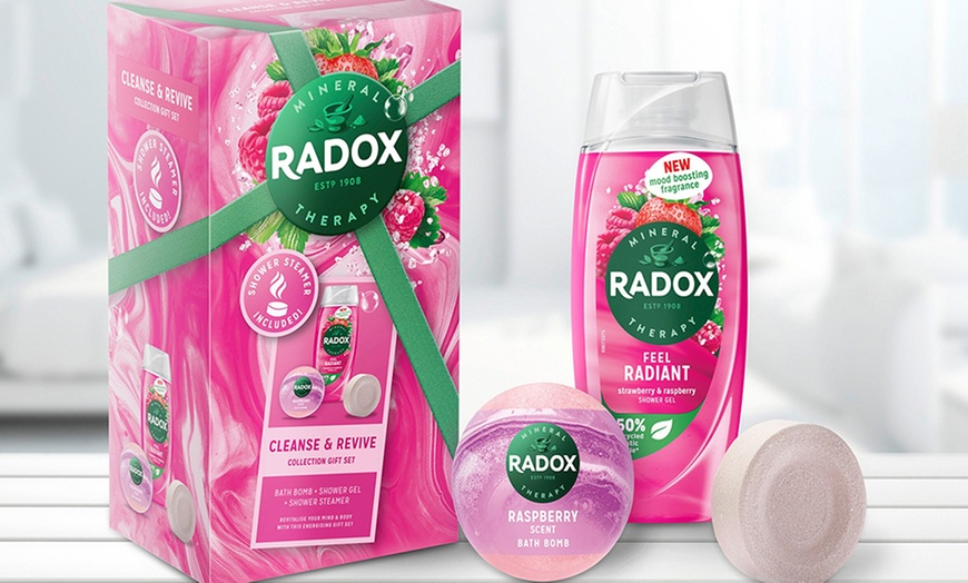 Image 6: Radox Cleanse & Revive Gift Set