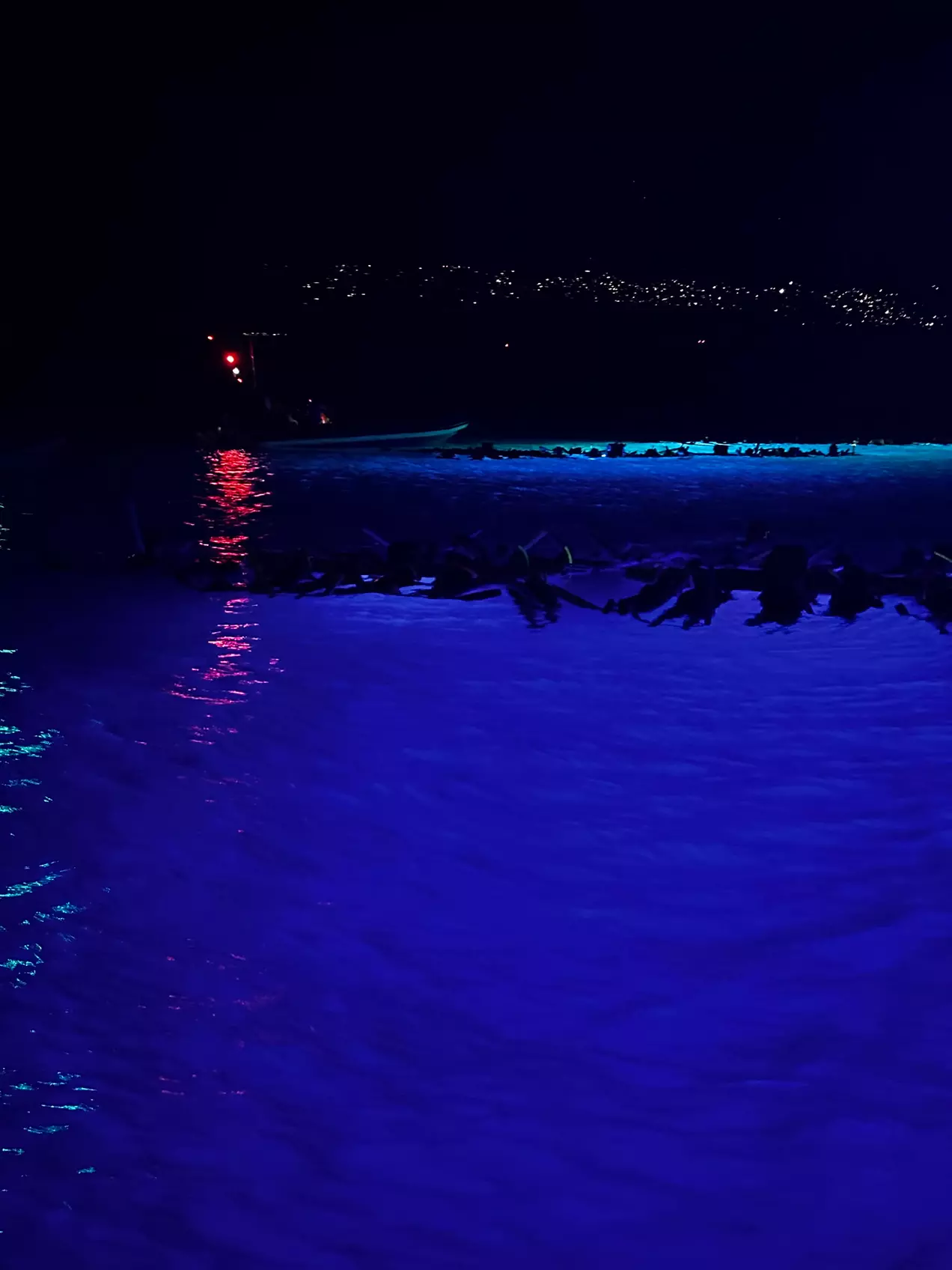 Two-Hour Manta Ray Night Snorkel Experience!