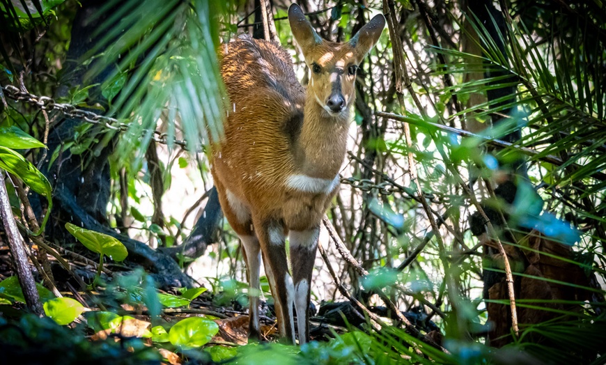 Image 24: 8-Day Yoga & Safari Retreat