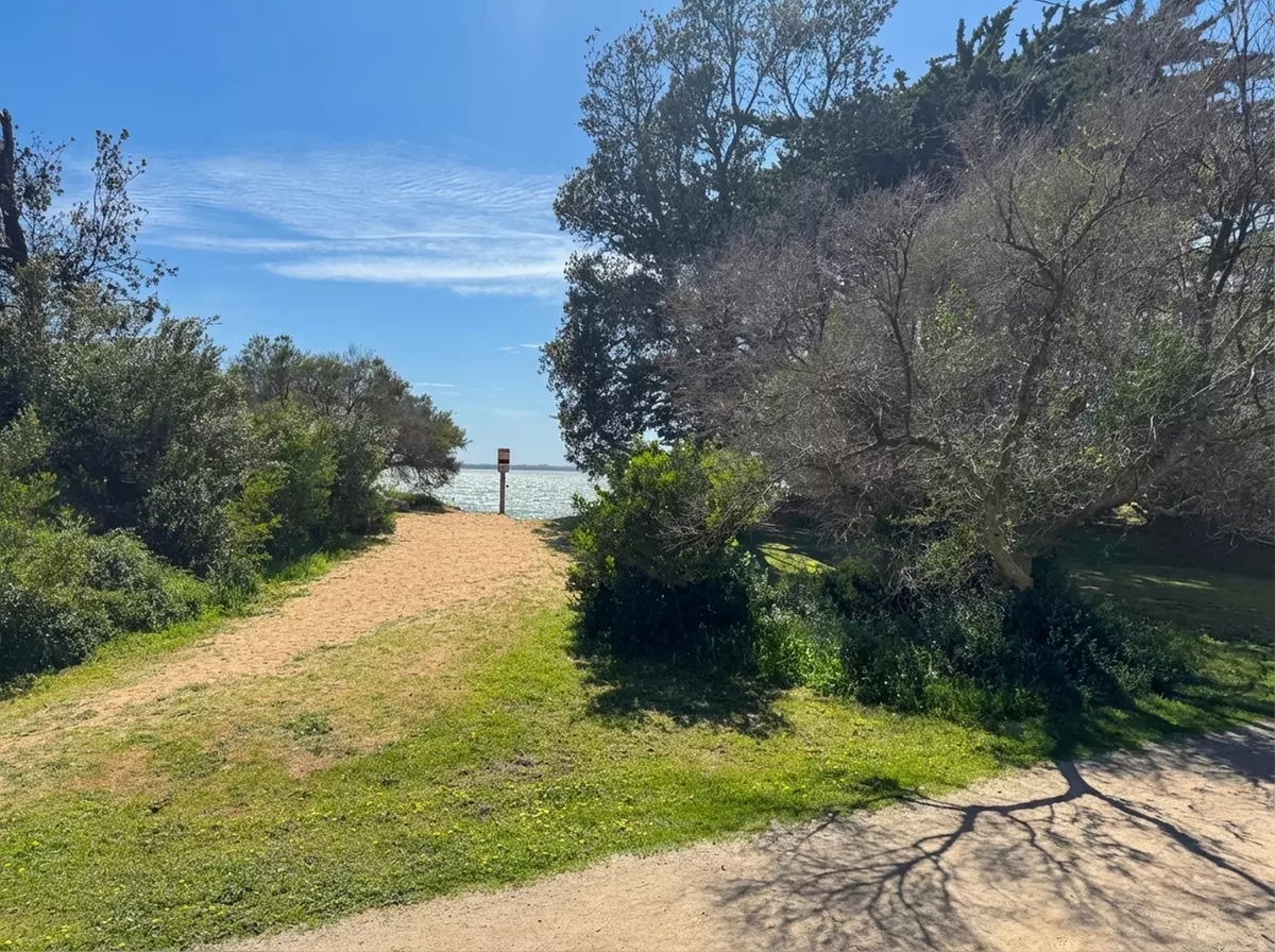 Phillip Island: Deluxe 2 or 3 Bedroom Cabin with Wine & Late Check-out