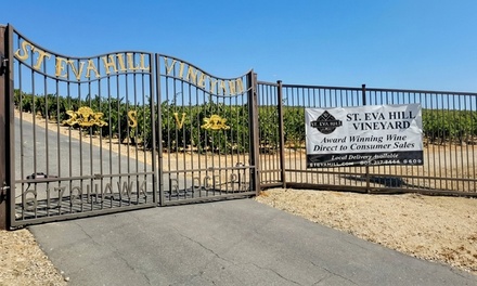 Wine Tasting for 1 (6 Flights of Wine) - St. Eva Hill Vineyard