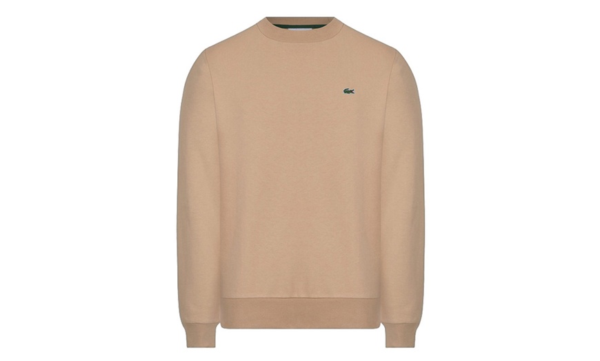 Image 5: Felpa girocollo con logo Lacoste in pile di cotone