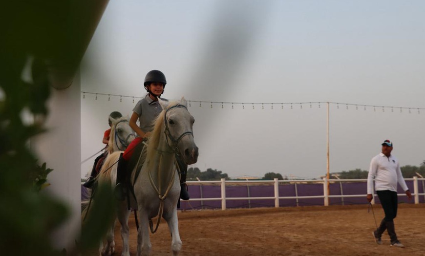 Image 3: Ride Through Desert Beauty with Horseback Hacks & Arena Lessons