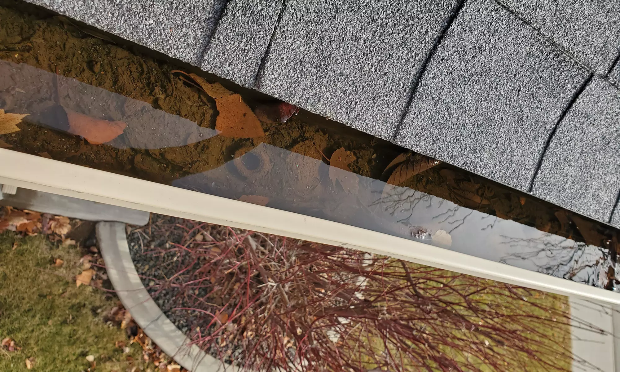 Professional Window Cleaning or Full Gutter Cleaning Service Per Foot