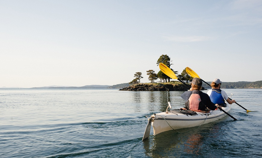 Image 2: Explore San Juan Island on a Half Day or Full Day Kayak Tour