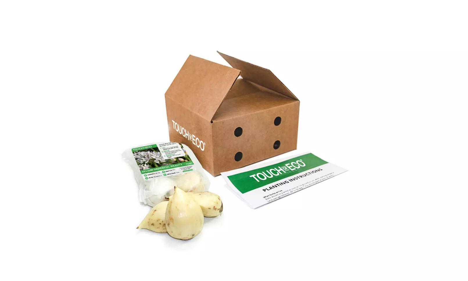 Graceful Beauty White Allium Flowers (15, 30, & 60 Bulbs With Planting Tool)