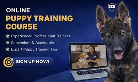 Online Puppy Training Class - Custom Canine Unlimited