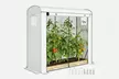 Outsunny Steel Frame Garden Greenhouse with PE Cover and Windows - Image 2