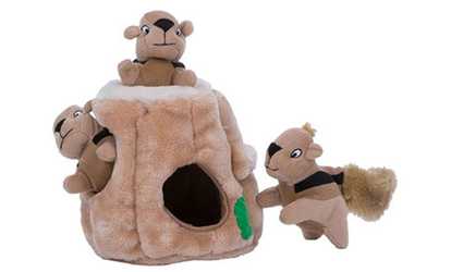 Outward Hound Hide-A-Squirrel Dog Toy