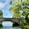 Image 4: Discover the Architectural Gems of New Orleans on a Guided Tour