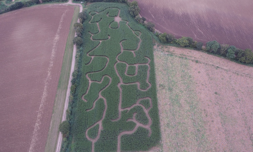 Image 2: Entry with Halloween Maze to Hatters Farms Pumpkins