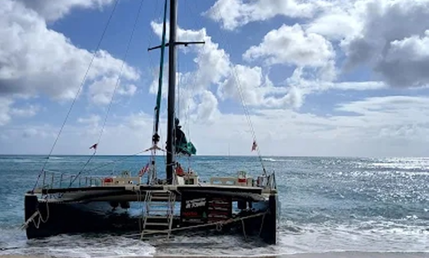 Image 7: Sail Away on a Spectacular 90-Minute TradeWind Sail for 2 or 4 Adults