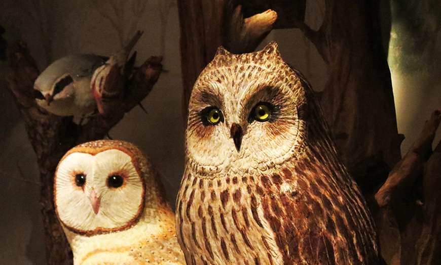 Image 1: Enjoy Nature and Art:  Admission for 2, 3, or 4 Adults 