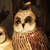 Image 1: Enjoy Nature and Art:  Admission for 2, 3, or 4 Adults