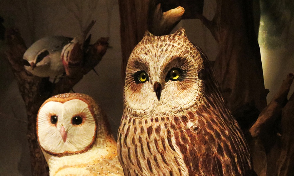 Enjoy Nature and Art:  Admission for 2, 3, or 4 Adults 