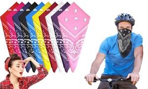 Assorted Bandana Face Covers