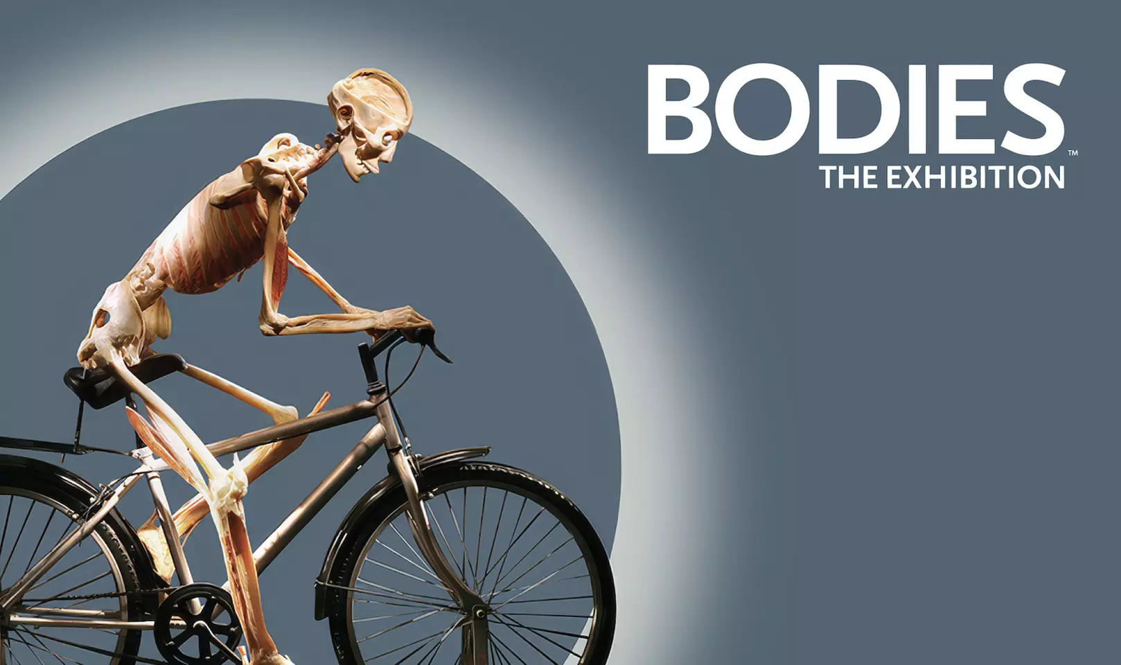 Bodies the Exhibition at Luxor - GA Attraction Tickets