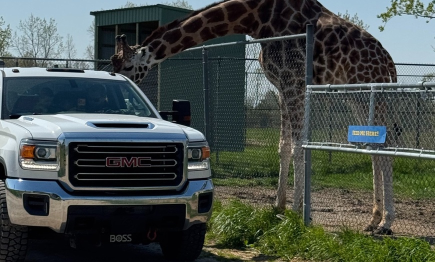 Image 15: African Safari Wildlife Park: Drive & Walk-Thru Safari w/ 400+ Animals