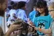 Admission to Austin Aquarium with Hands-On Encounters and Mermaid Shows - Second Medium