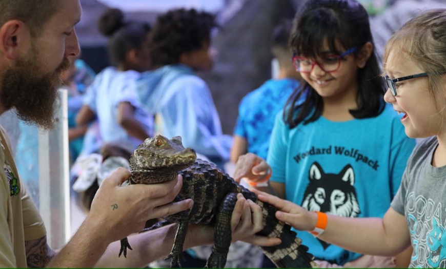 Image 1: Discover Marine Wonders at Austin Aquarium