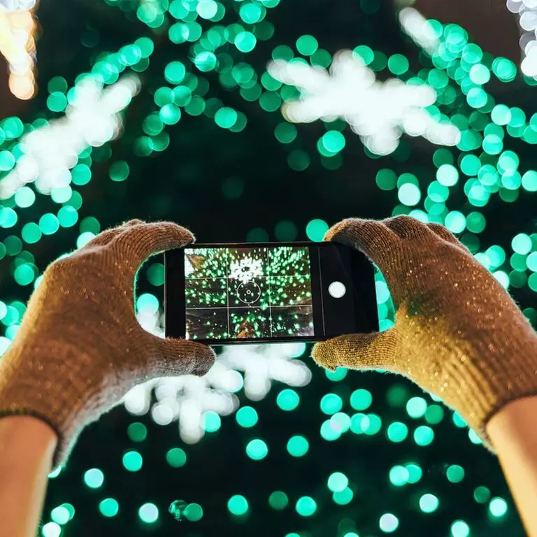 Festival of Lights Tour w/ Live Narration, Certified Guides & Santa