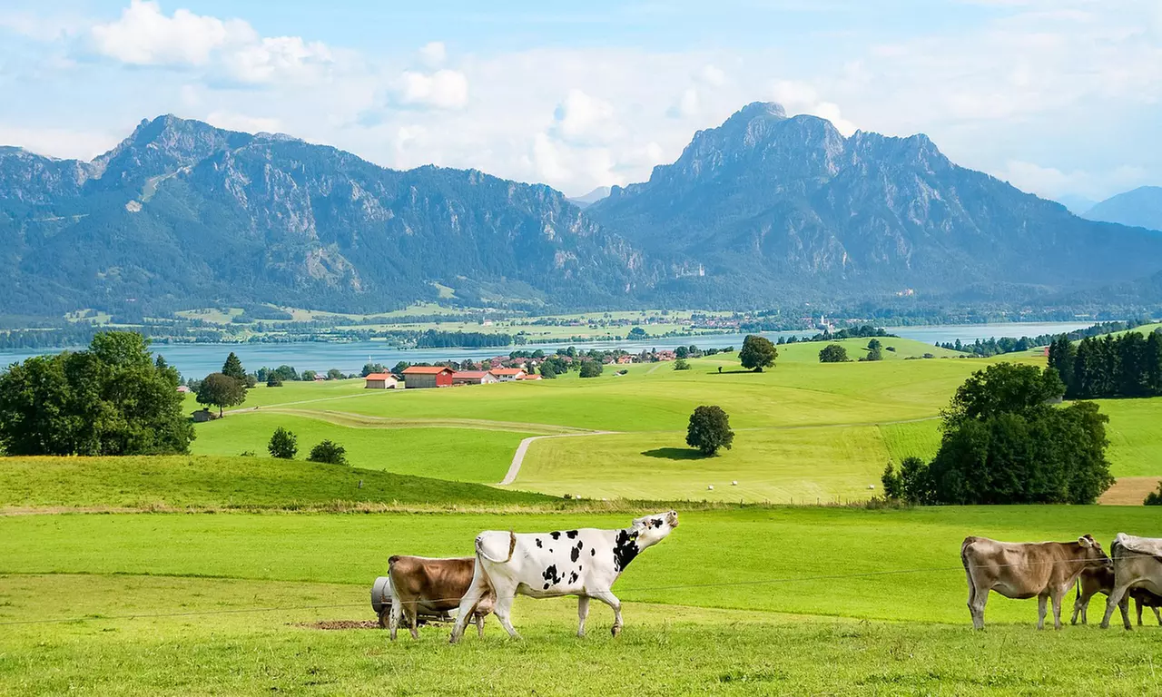 Allgäu: 2-3 Nächte im Doppelzimmer mit Balkon inkl. HP & Wellness