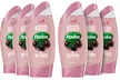 Six-Pack of Radox Shower Gels 250ml - Image 3