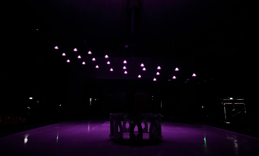 Image 8: Gran Circo Wonderland: entrada del 24 de diciembre al 5 de enero