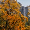 Image 10: Member-Only Deal: Yosemite Gateway Resort + Pools & Outdoor Adventures