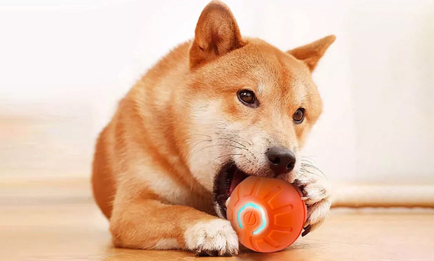 Image 12: Vibrating Ball For Pet