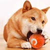 Image 12: Vibrating Ball For Pet