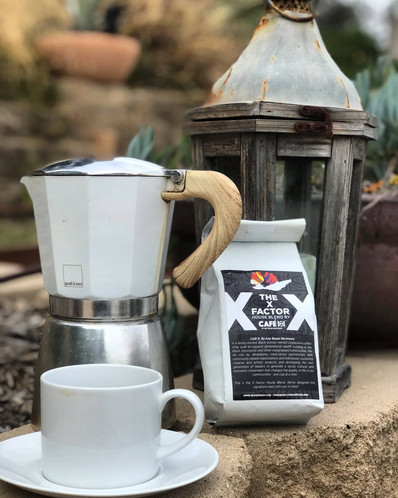 X Factor Medium Roast Coffee and More at Cafe X