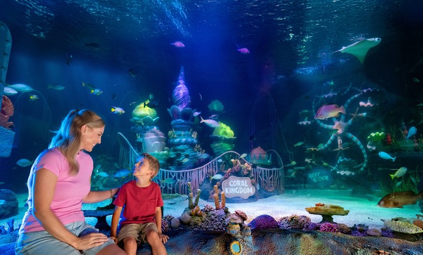 Image 12: LEGOLAND Florida Ticket Deals - Save Up to 47%