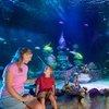 Image 12: LEGOLAND Florida Ticket Deals - Save Up to 47%