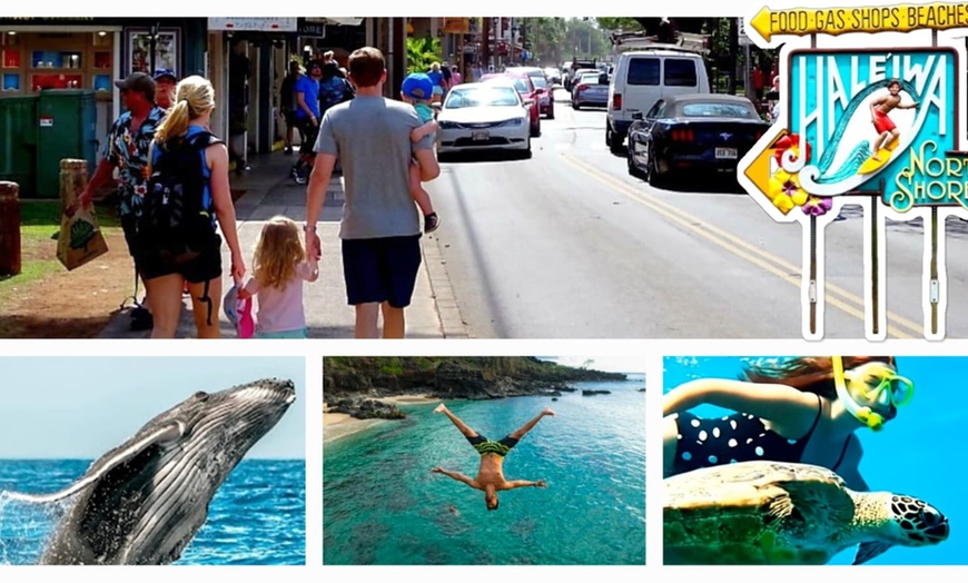 Image 17: Up to 55% Off Oahu Full-Day Island Tour - Aloha Fantasy Tours