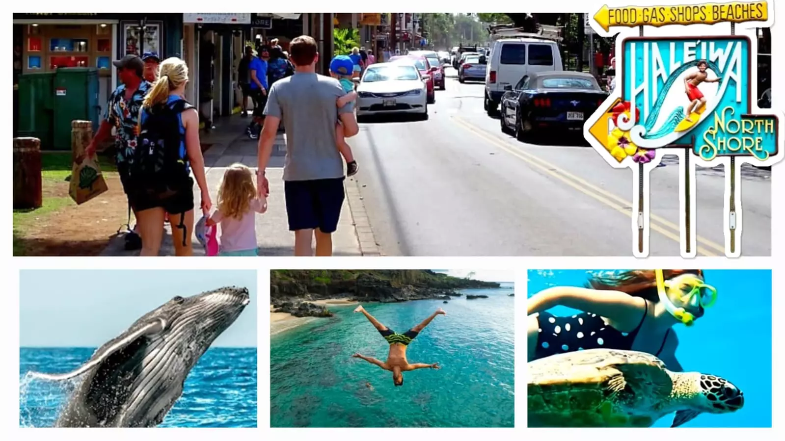 Up to 55% Off Oahu Full-Day Island Tour - Aloha Fantasy Tours