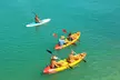 Paddle & Play: Sandbar Kayak Eco Tour with Sunset Watersports Key West - Second Medium