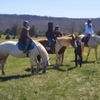 Image 8: Experience Horseback Trail Rides in Northern Virginia's Horse Country