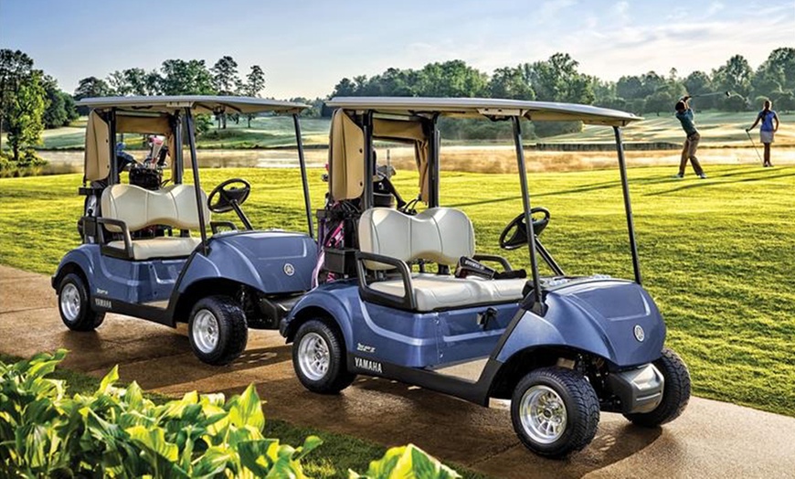 Image 1: One or Three 60- or 90-Minute Personalized Golf Lessons 