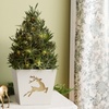 Image 4: Next Day Delivery Christmas Plants from 1-800-Flowers (up to 50% off)